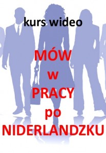 mw_w_pracy_po_niderlandzku_holendersku_kurs_wideo_kopia