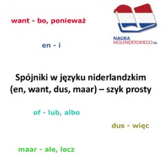 Spójniki w języku niderlandzkim (en, want, dus, maar) – szyk prosty