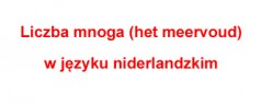 Liczba mnoga rzeczowników (het meervoud) w języku niderlandzkim