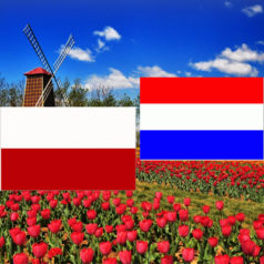 Obywatelstwo holenderskie a nauka języka niderlandzkiego