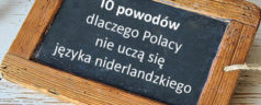 10 powodów dlaczego Polacy nie uczą się języka niderlandzkiego mieszkając w Holandii Belgii