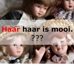 Różnica między „haar” i „het haar” w języku niderlandzkim